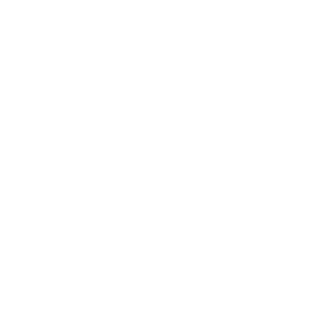 Geführte Ausflüge mit Hund St. Peter-Ording & Eiderstedt